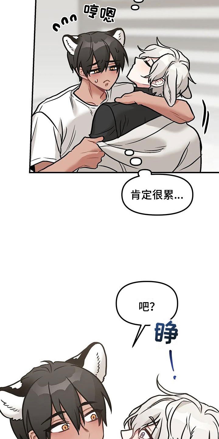 第3章：带回家