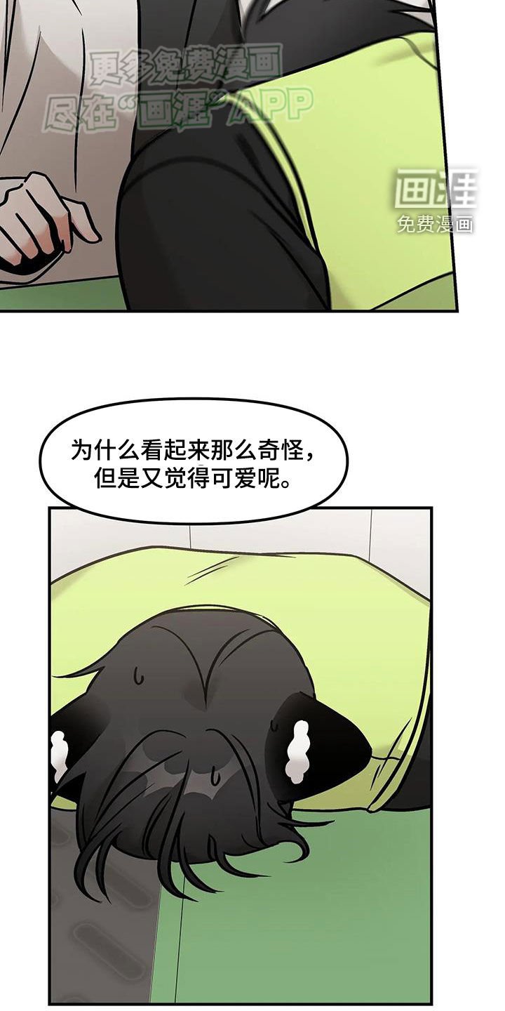 第32章：表白
