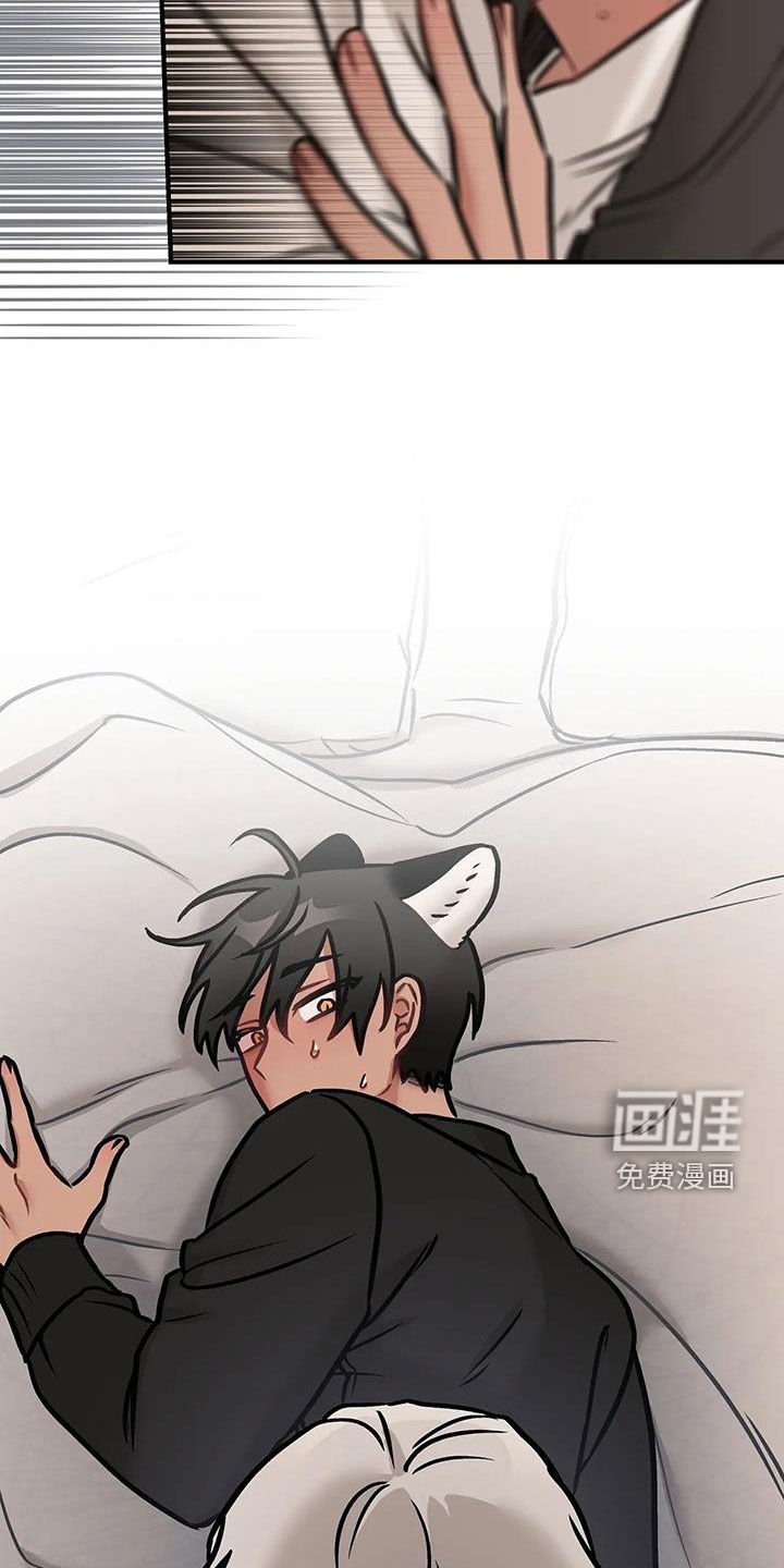第40章：并不讨厌