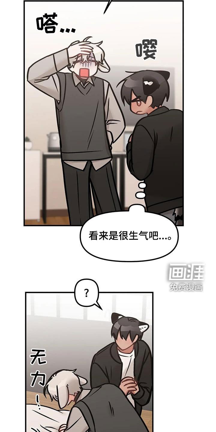 第41章：坦白