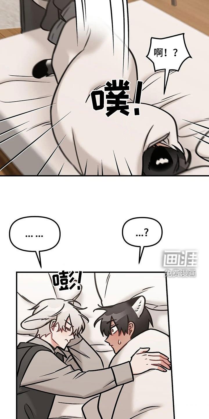 第41章：坦白