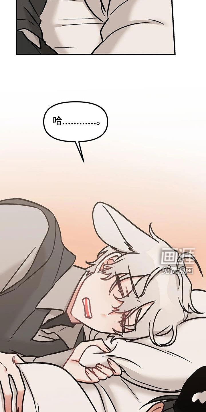 第41章：坦白