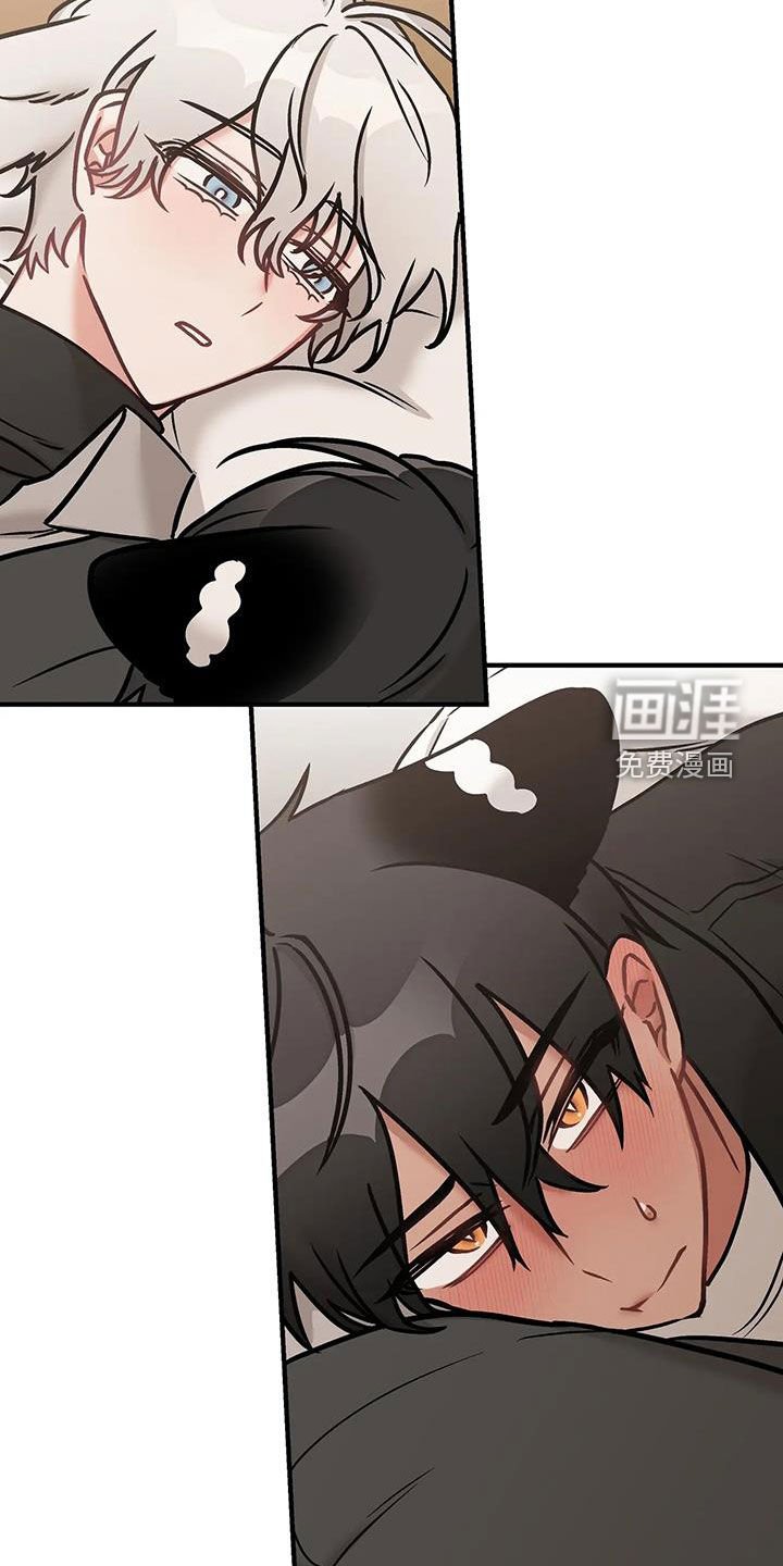 第41章：坦白