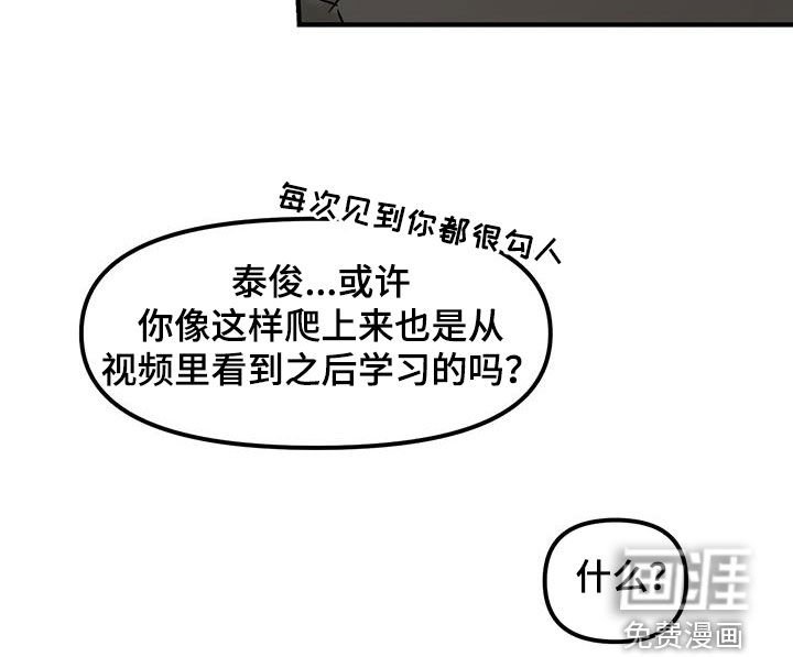 第41章：坦白