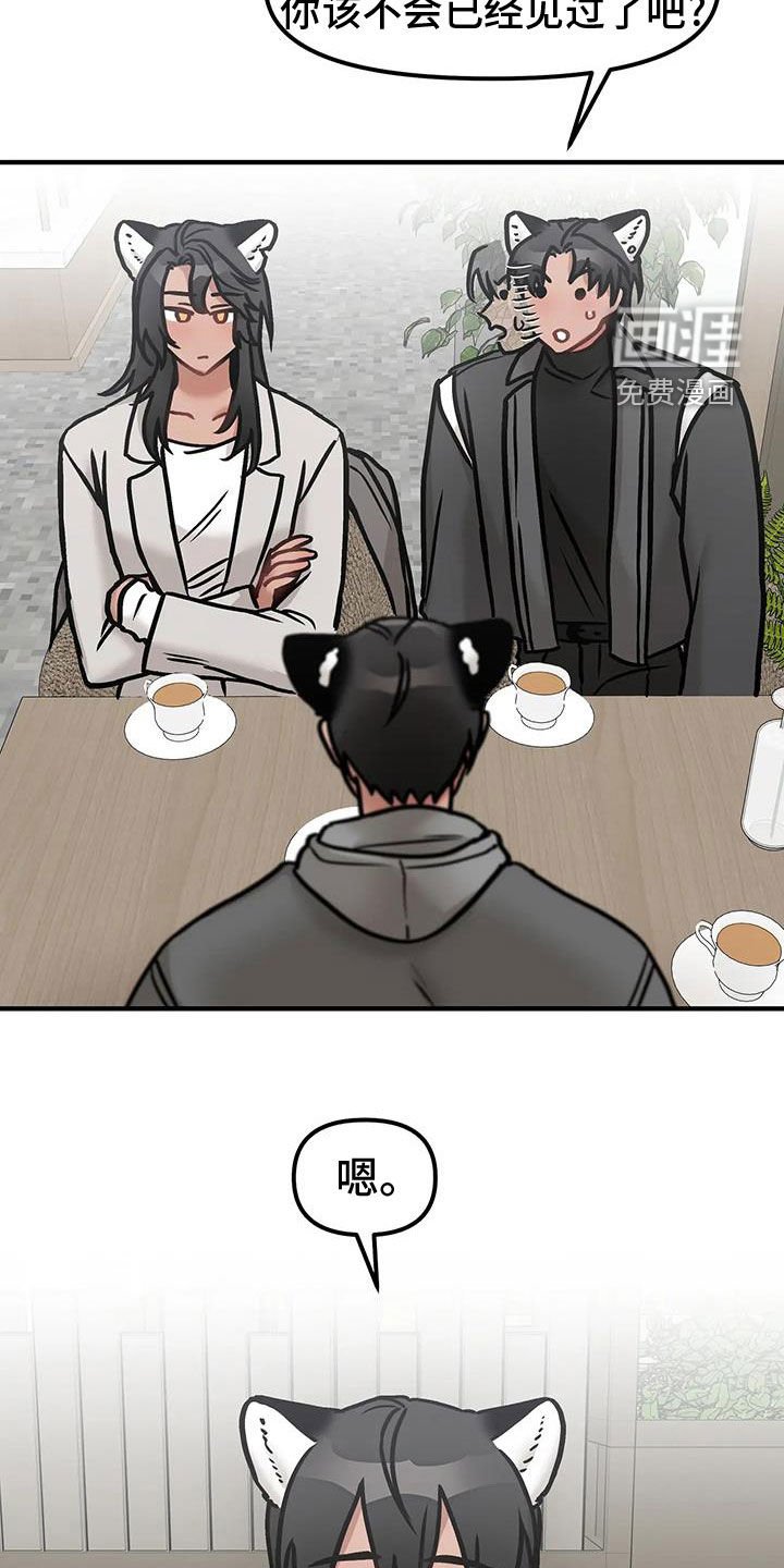 第44章：道歉