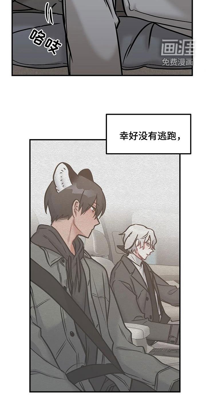 第49章：非常正确