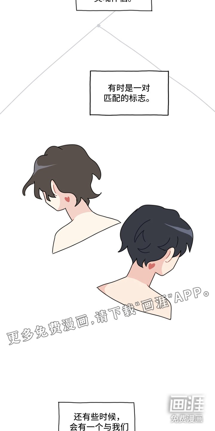 第1章：灵魂伴侣