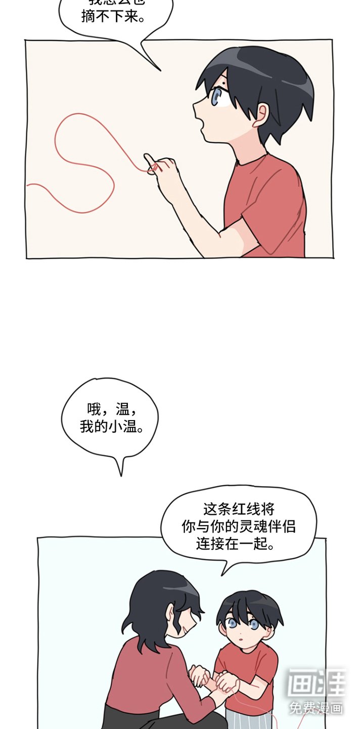 第1章：灵魂伴侣