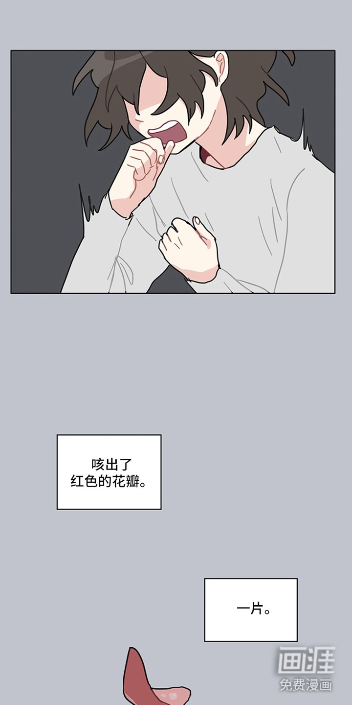 第17章：红色花瓣