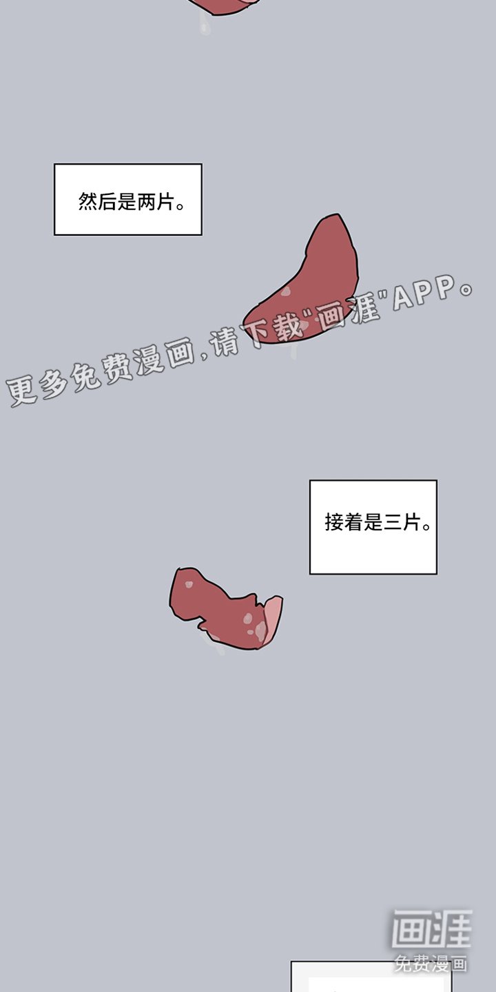 第17章：红色花瓣