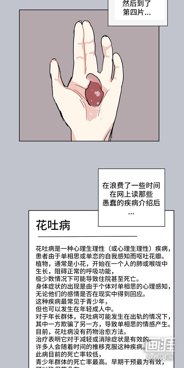 第17章：红色花瓣