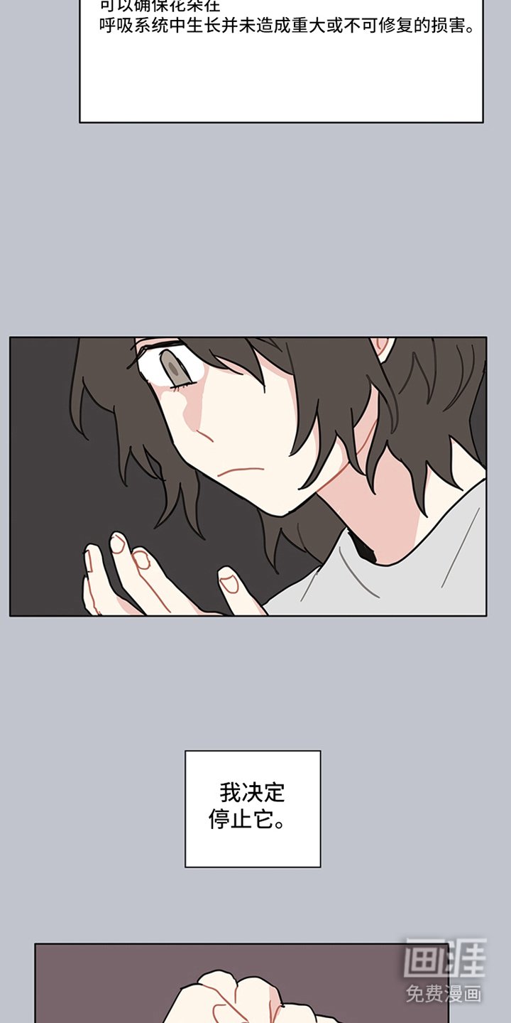 第17章：红色花瓣