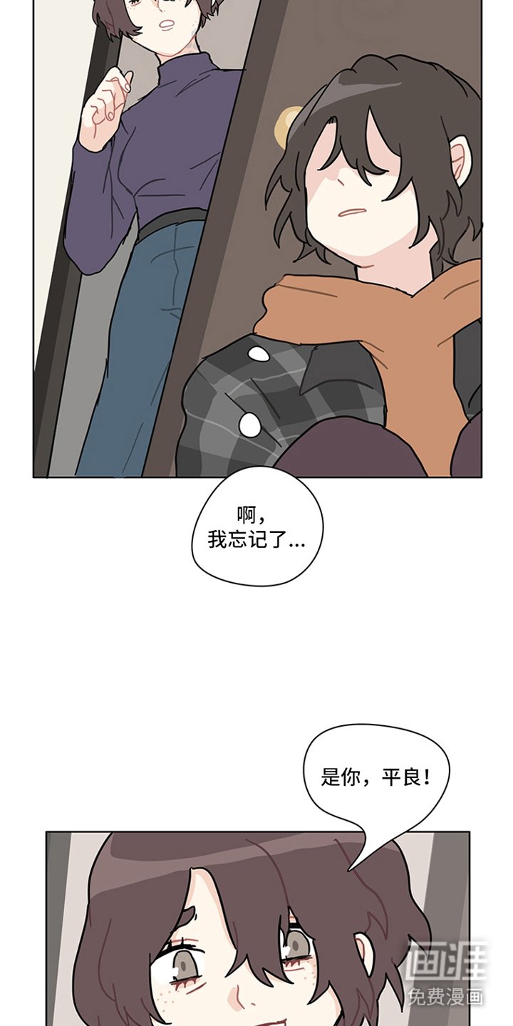 第17章：红色花瓣