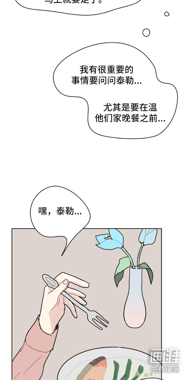第29章：今晚的晚餐
