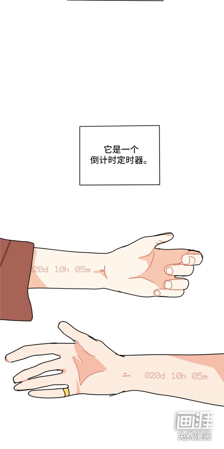 第8章：露营事件