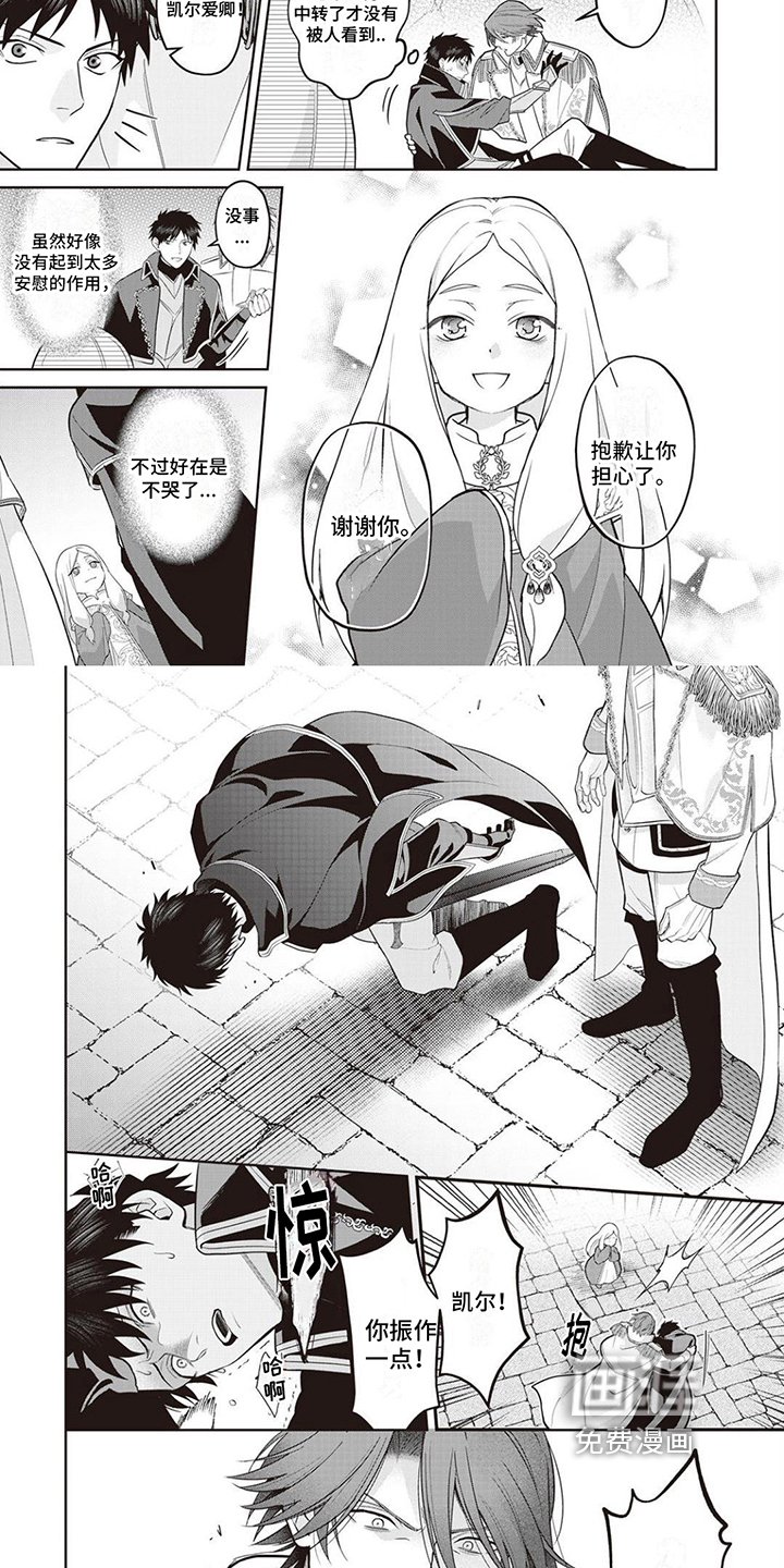 第13章：照顾