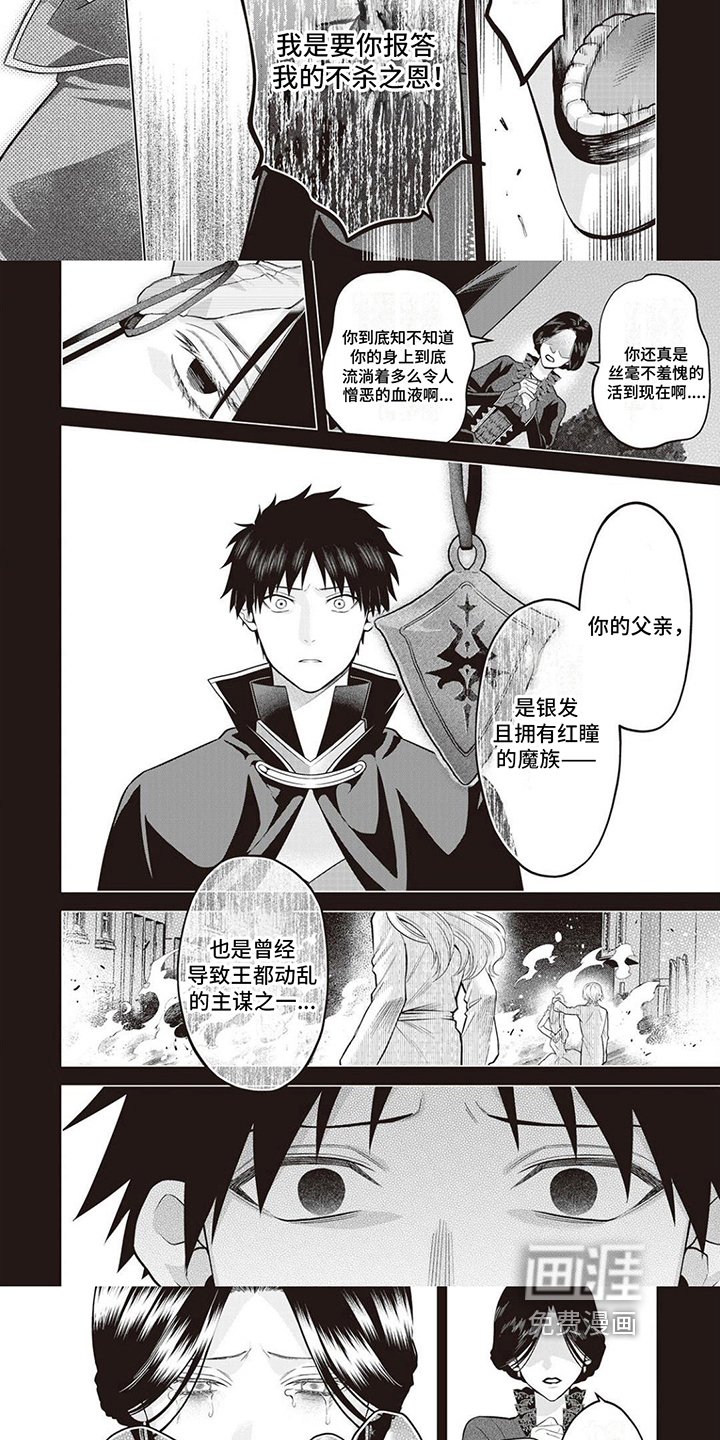 第17章：真相