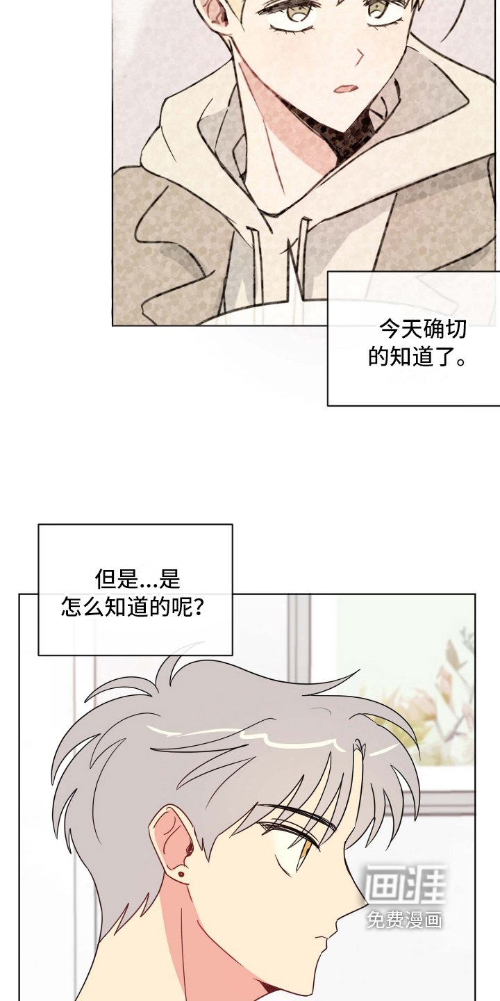 第20章：在意
