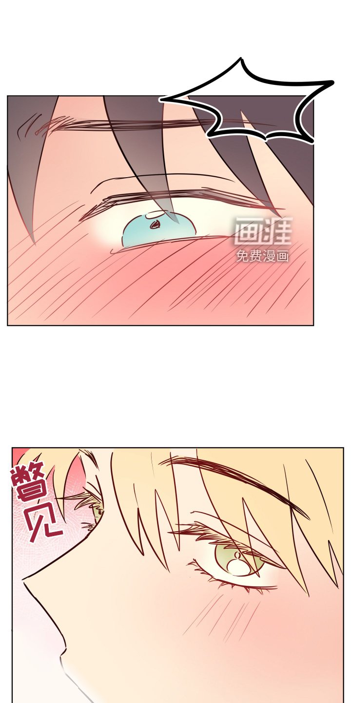 第26章：提起兴趣