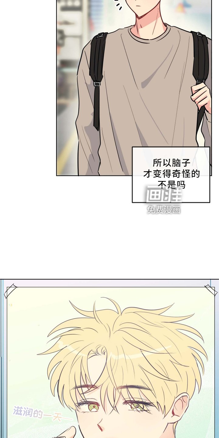第26章：提起兴趣