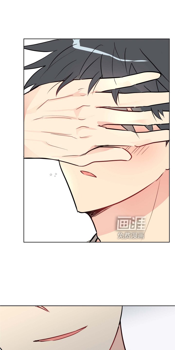 第28章：条件