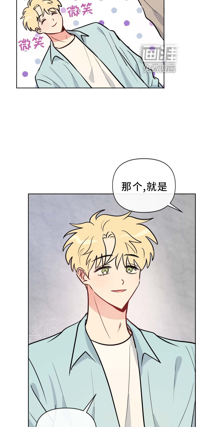 第28章：条件
