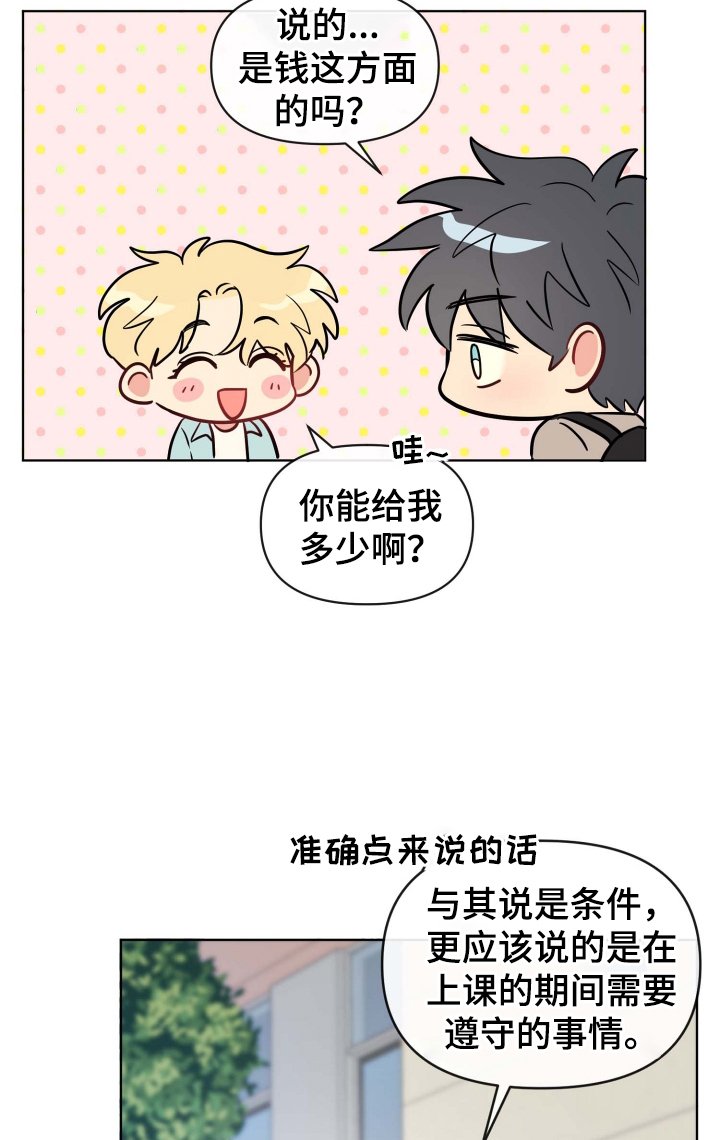 第29章：规则