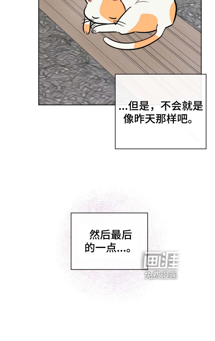 第29章：规则