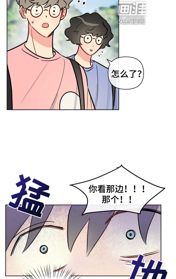 第29章：规则