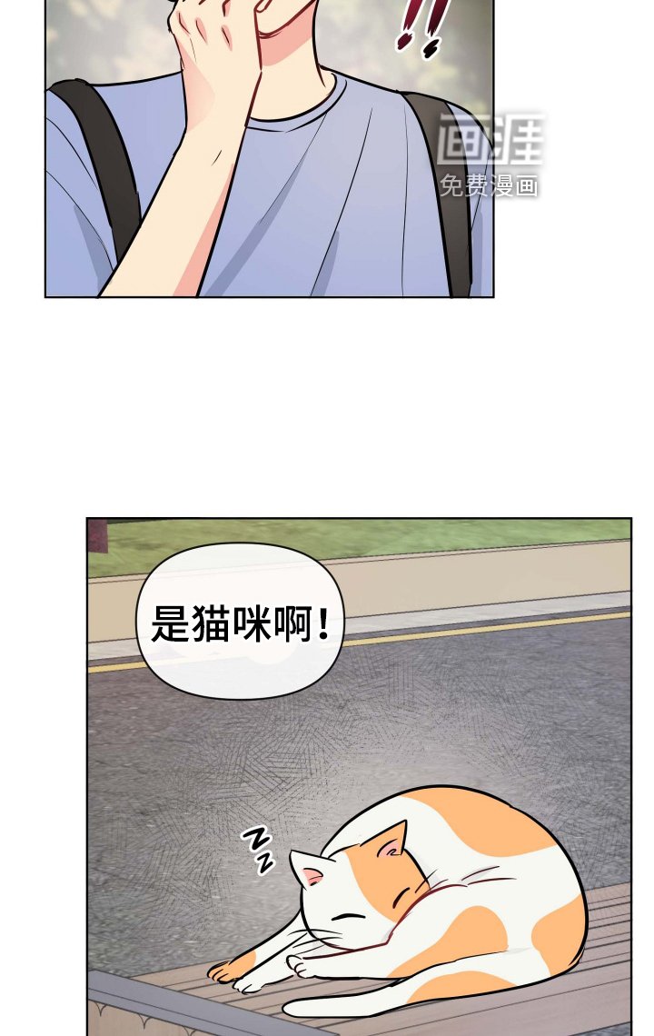 第29章：规则