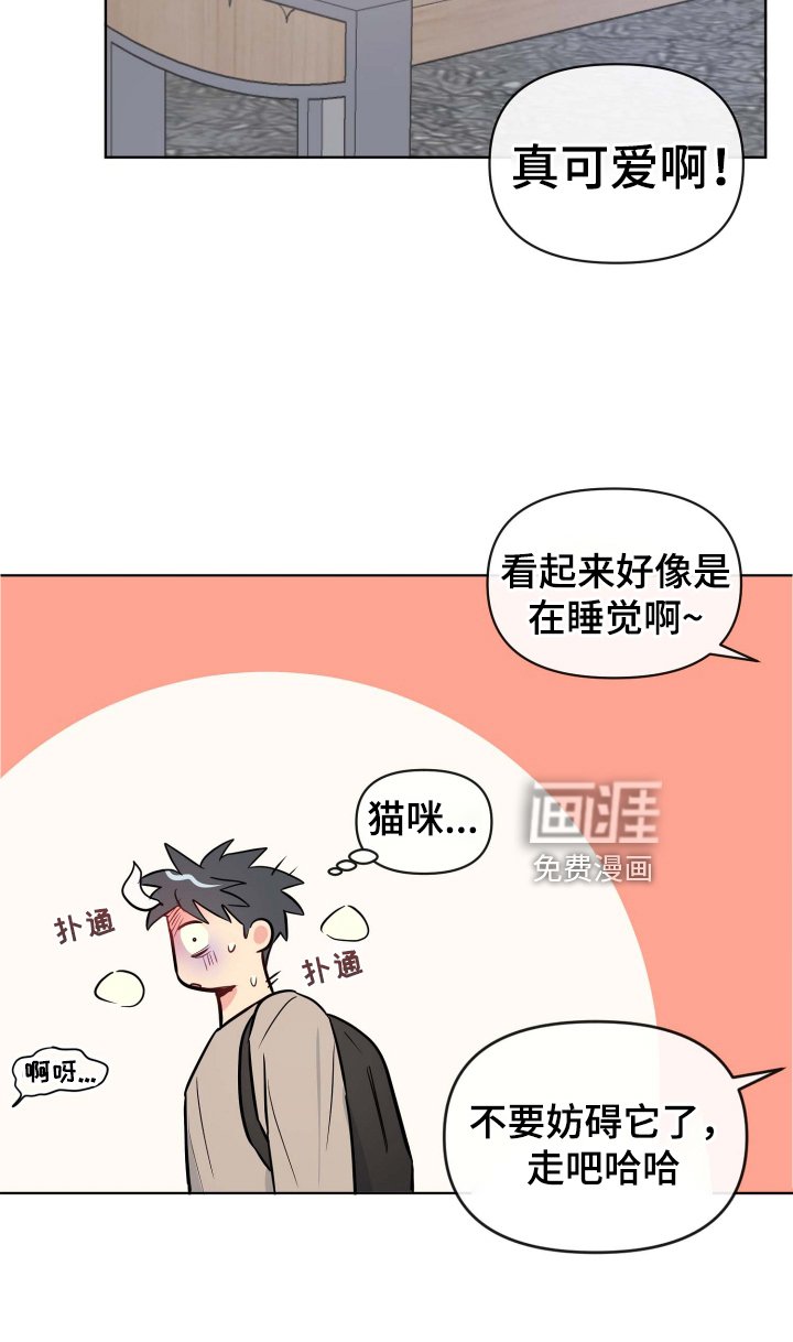 第29章：规则