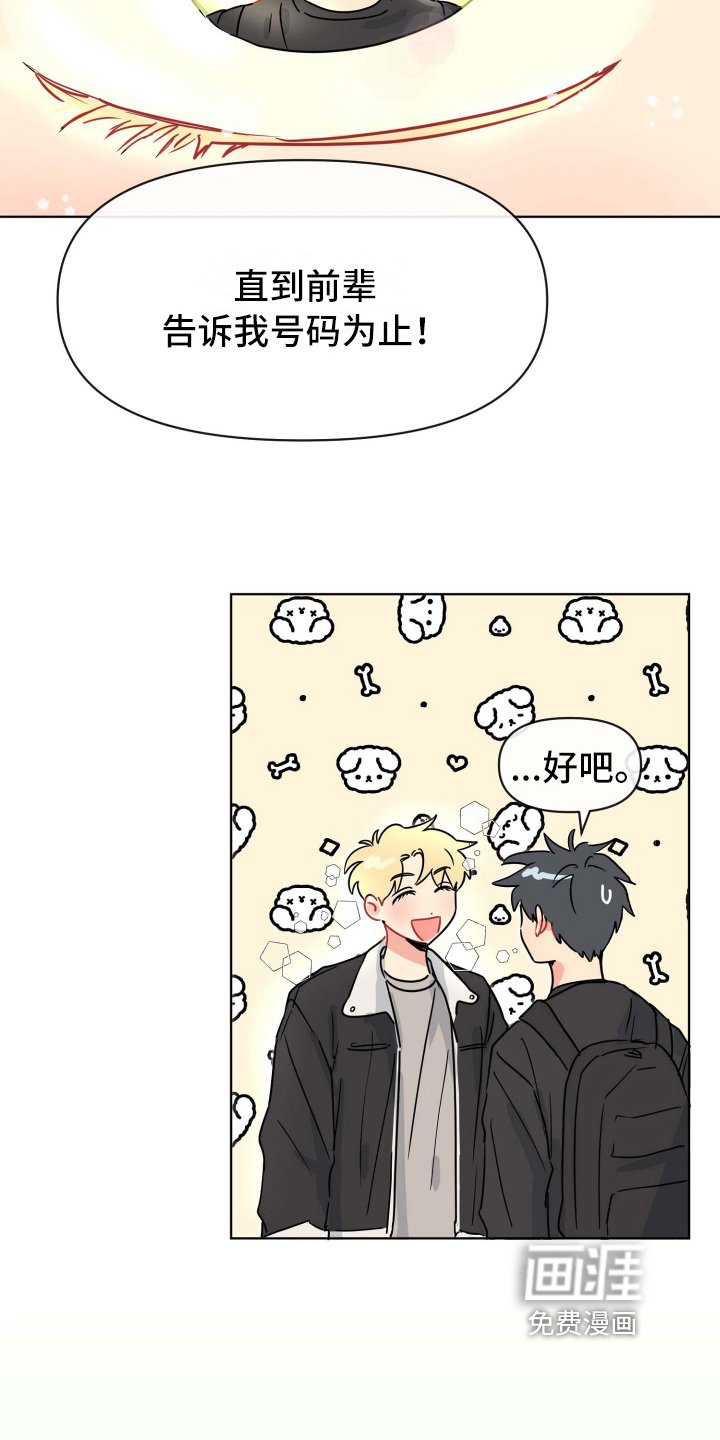 第4章：决心