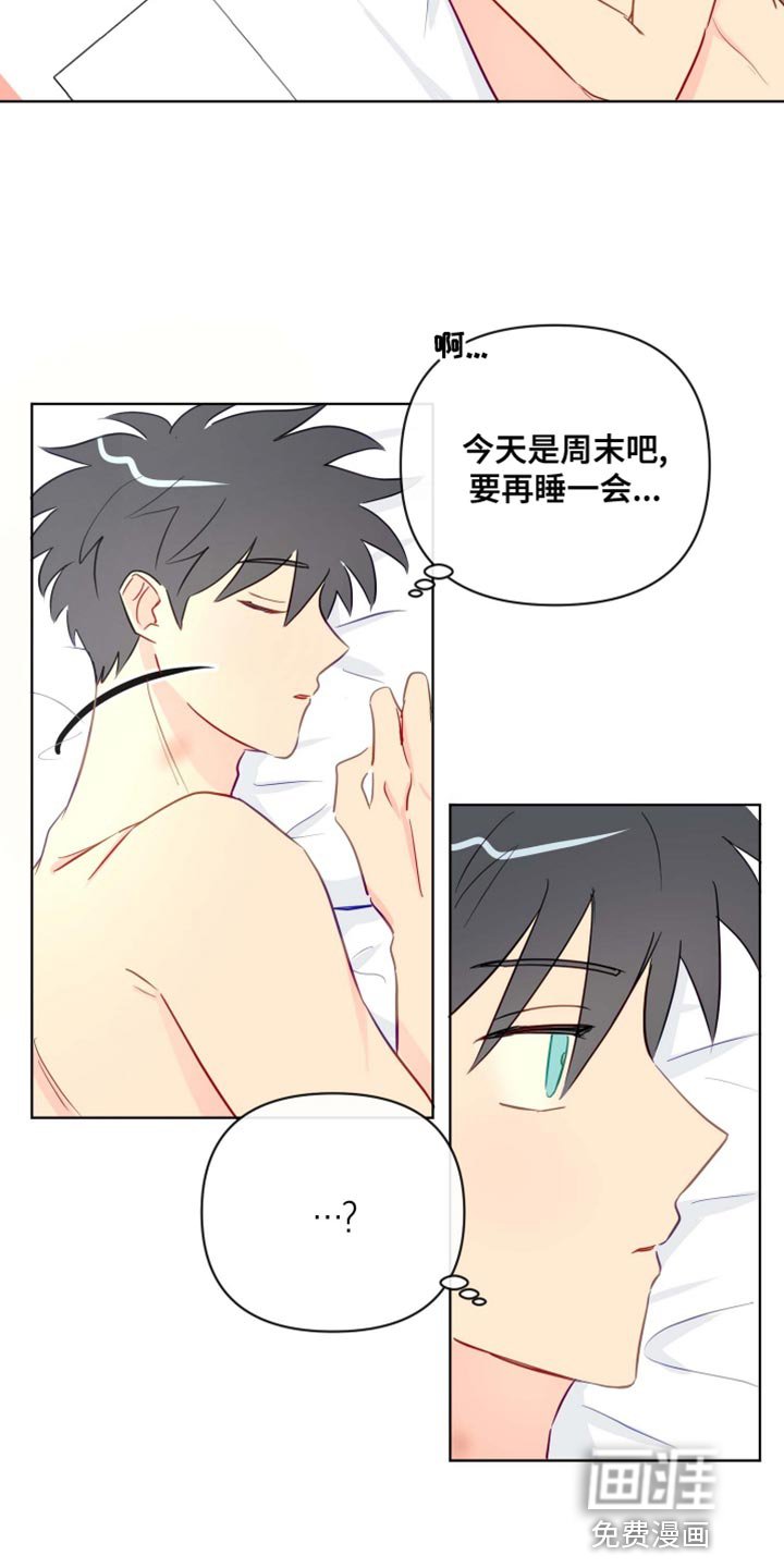 第41章：心情非常的好
