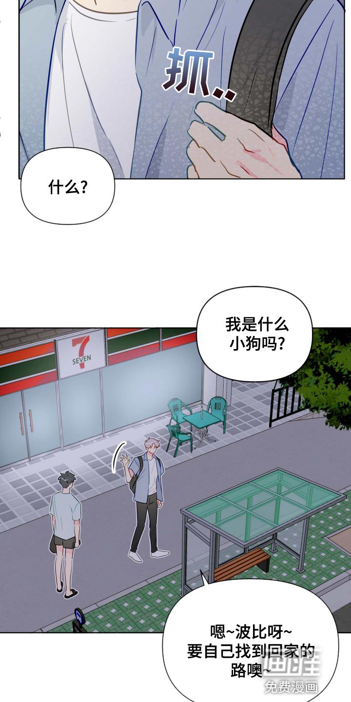 第45章：稳步下滑