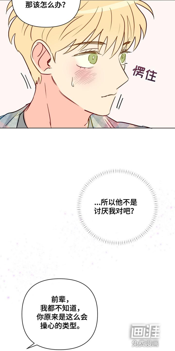 第80章：我都会等着你