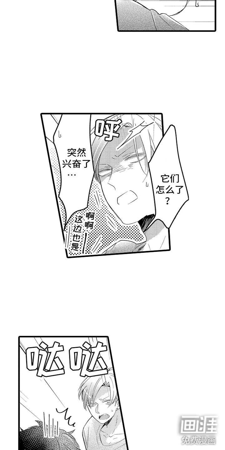 第15章：怪我？