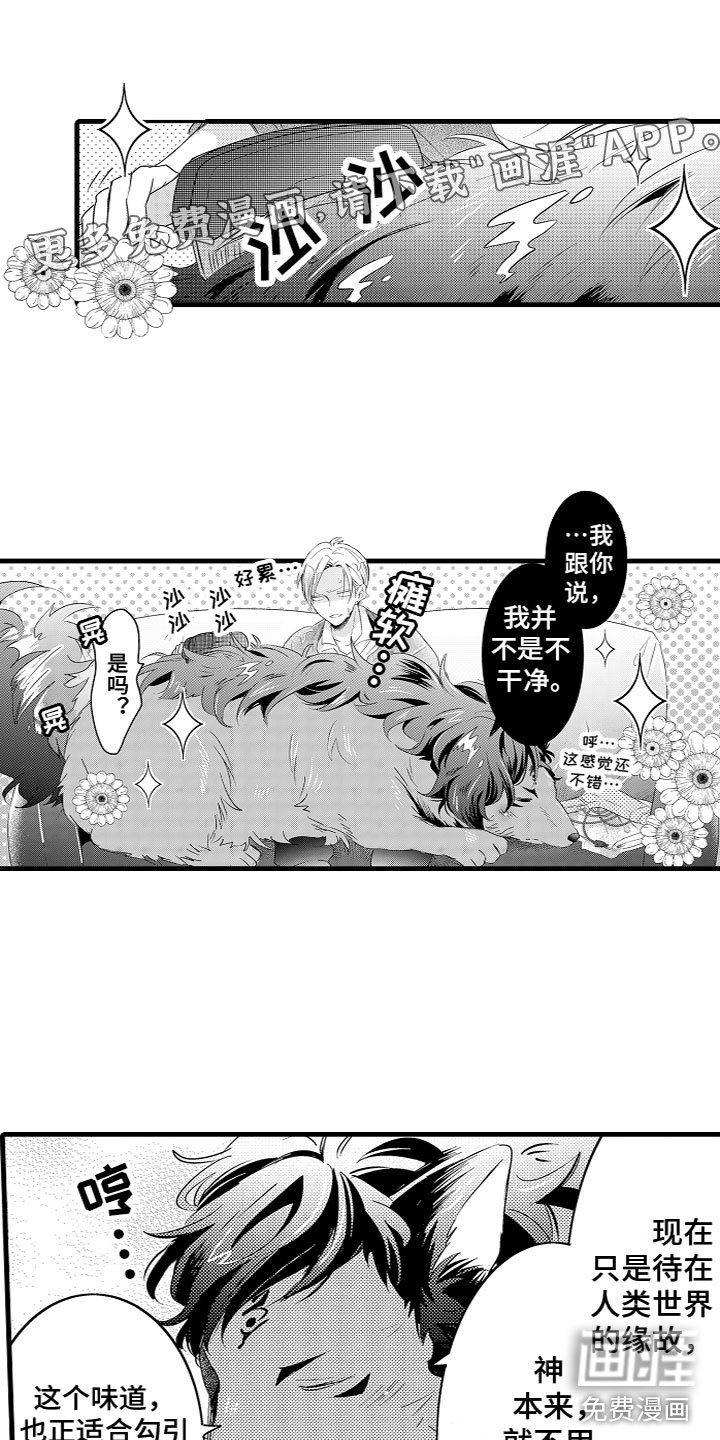 第17章：回忆当年