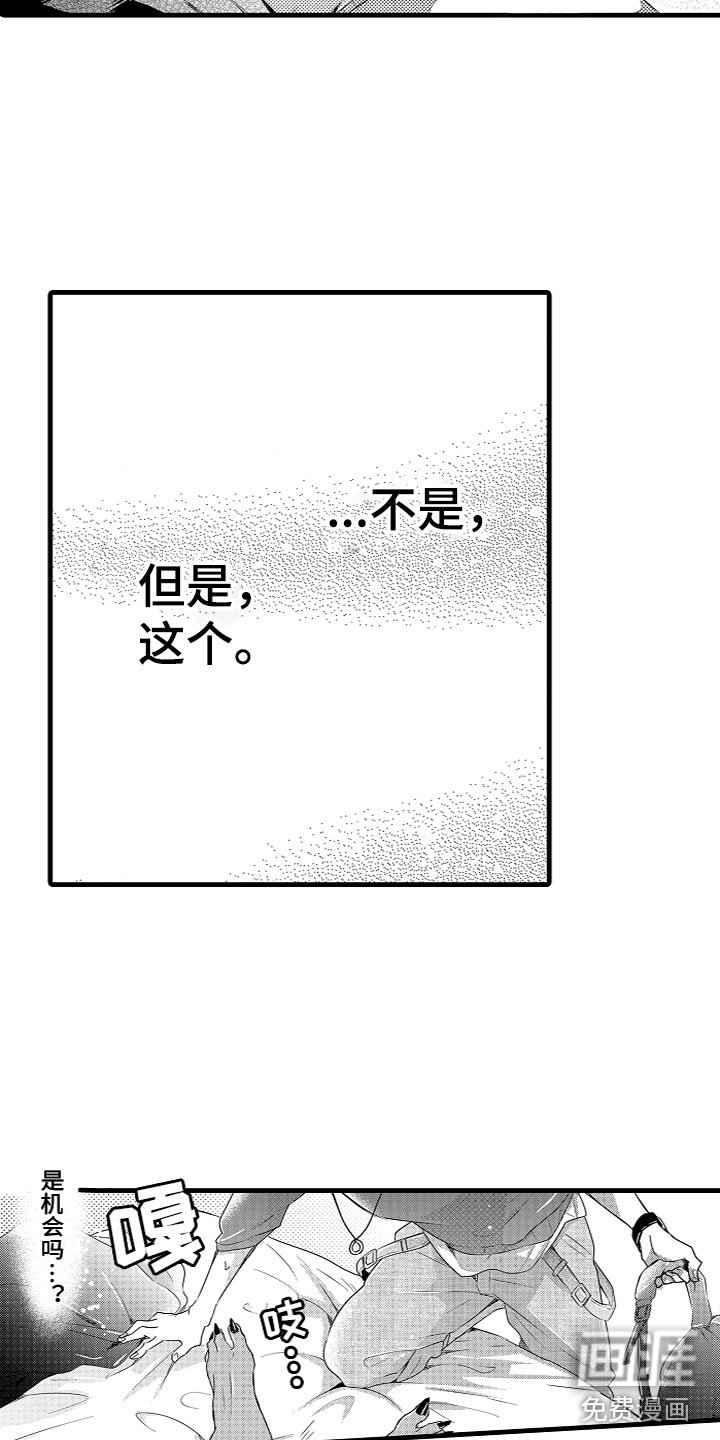 第19章：是机会吗？