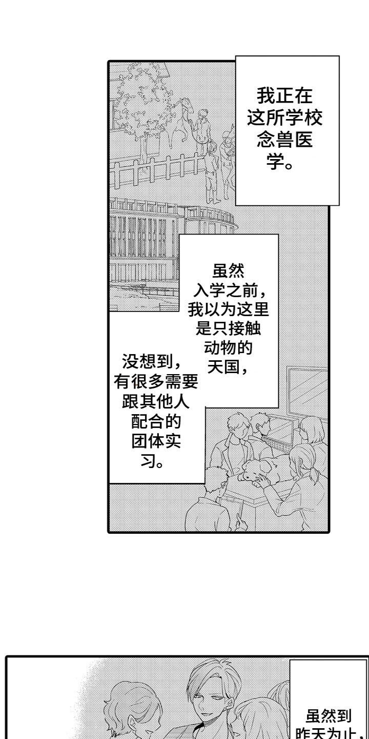 第2章：特殊的能力