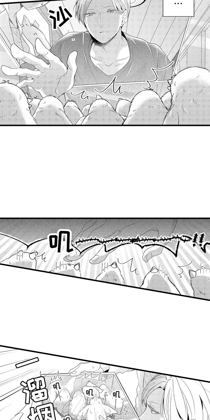 第2章：特殊的能力