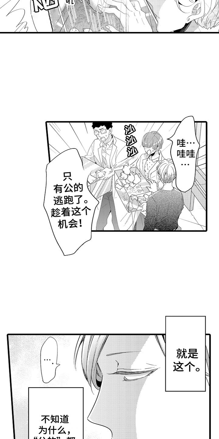 第2章：特殊的能力