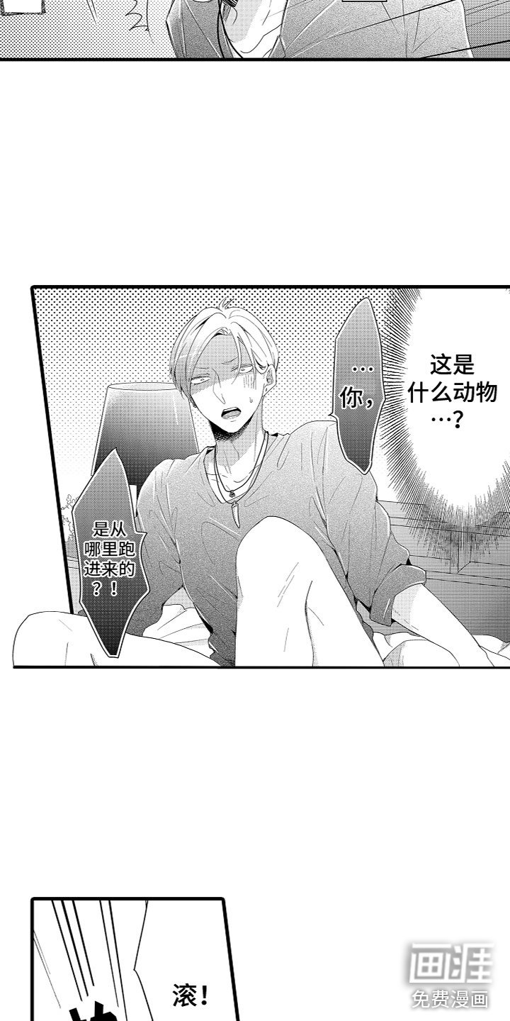 第4章：什么情况？！