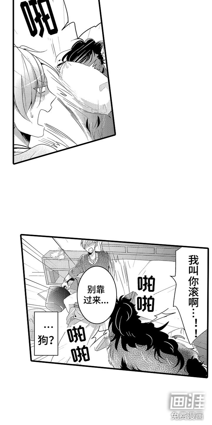 第4章：什么情况？！