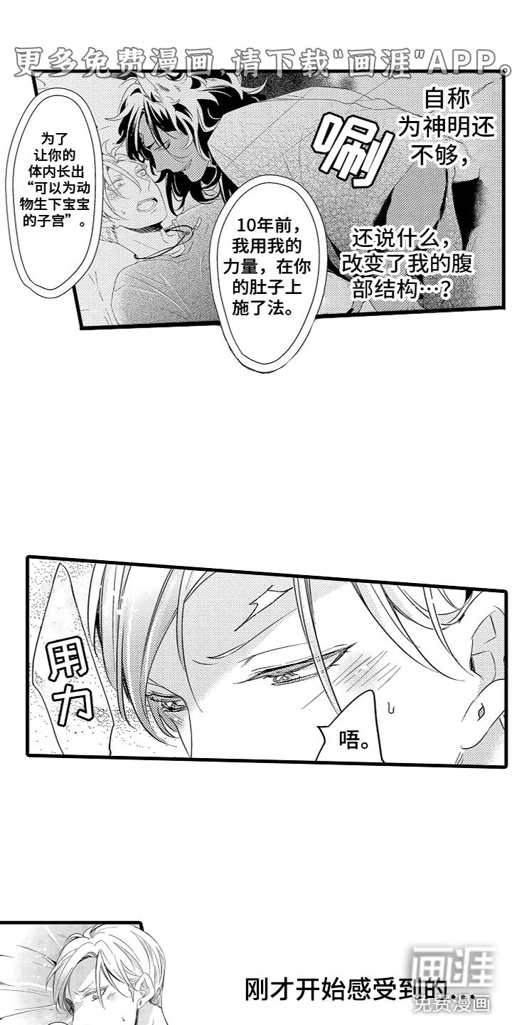 第8章：我的老婆