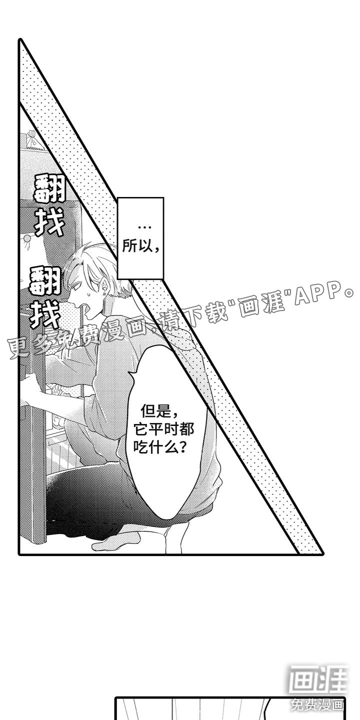 第9章：投喂食物