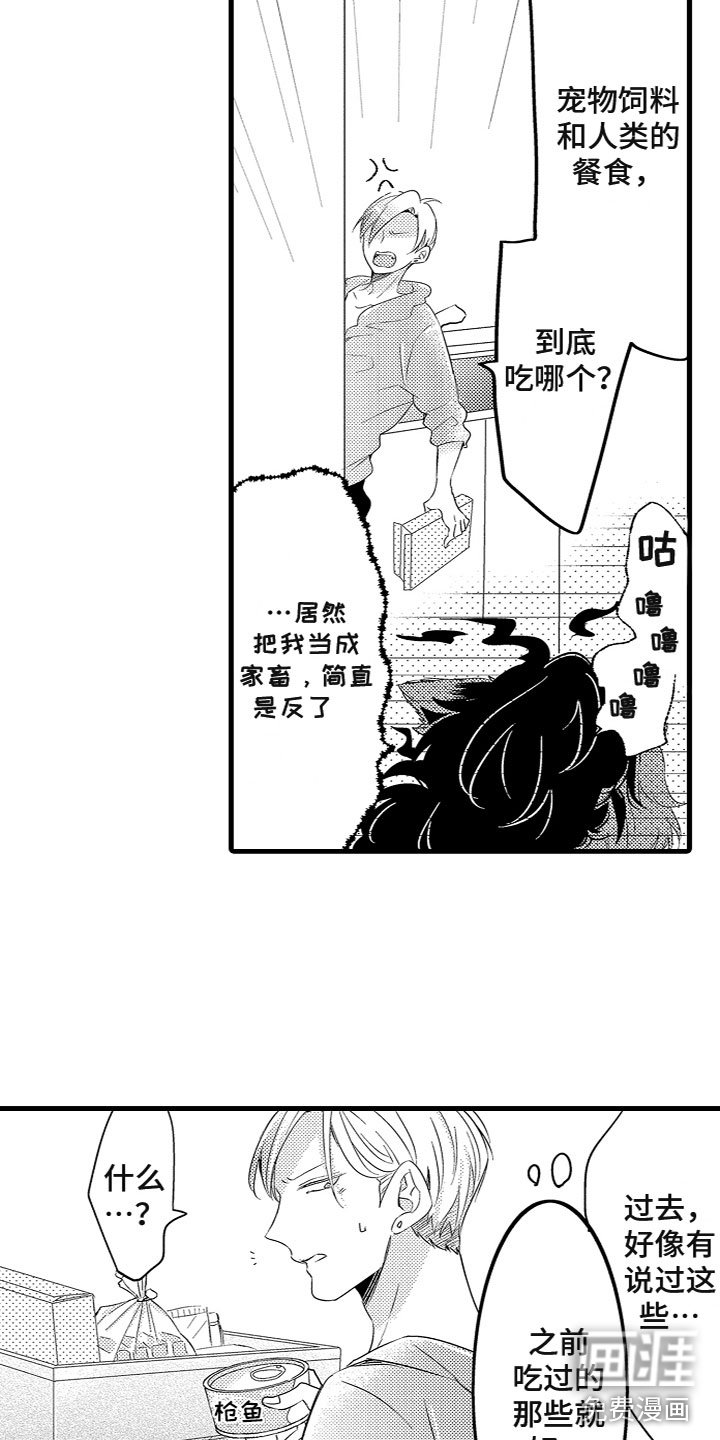 第9章：投喂食物