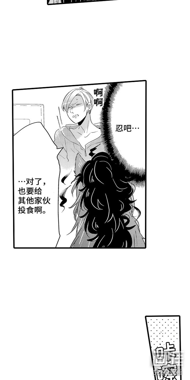 第9章：投喂食物