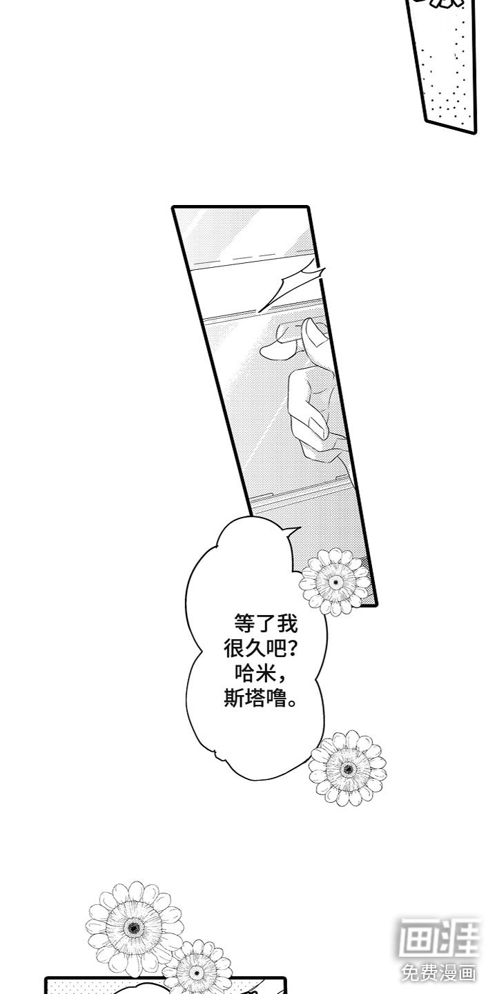 第9章：投喂食物
