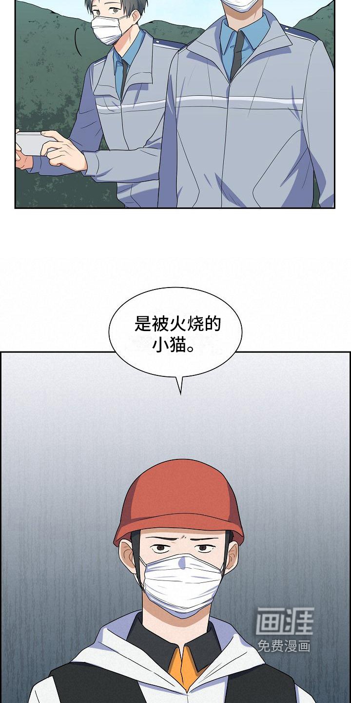 第13章：起因