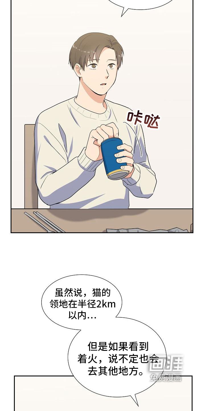 第15章：建议